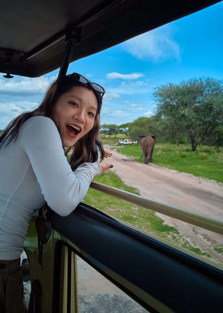 5 Days Tanzania Safari experience with traveler enjoying wildlife view from safari vehicle