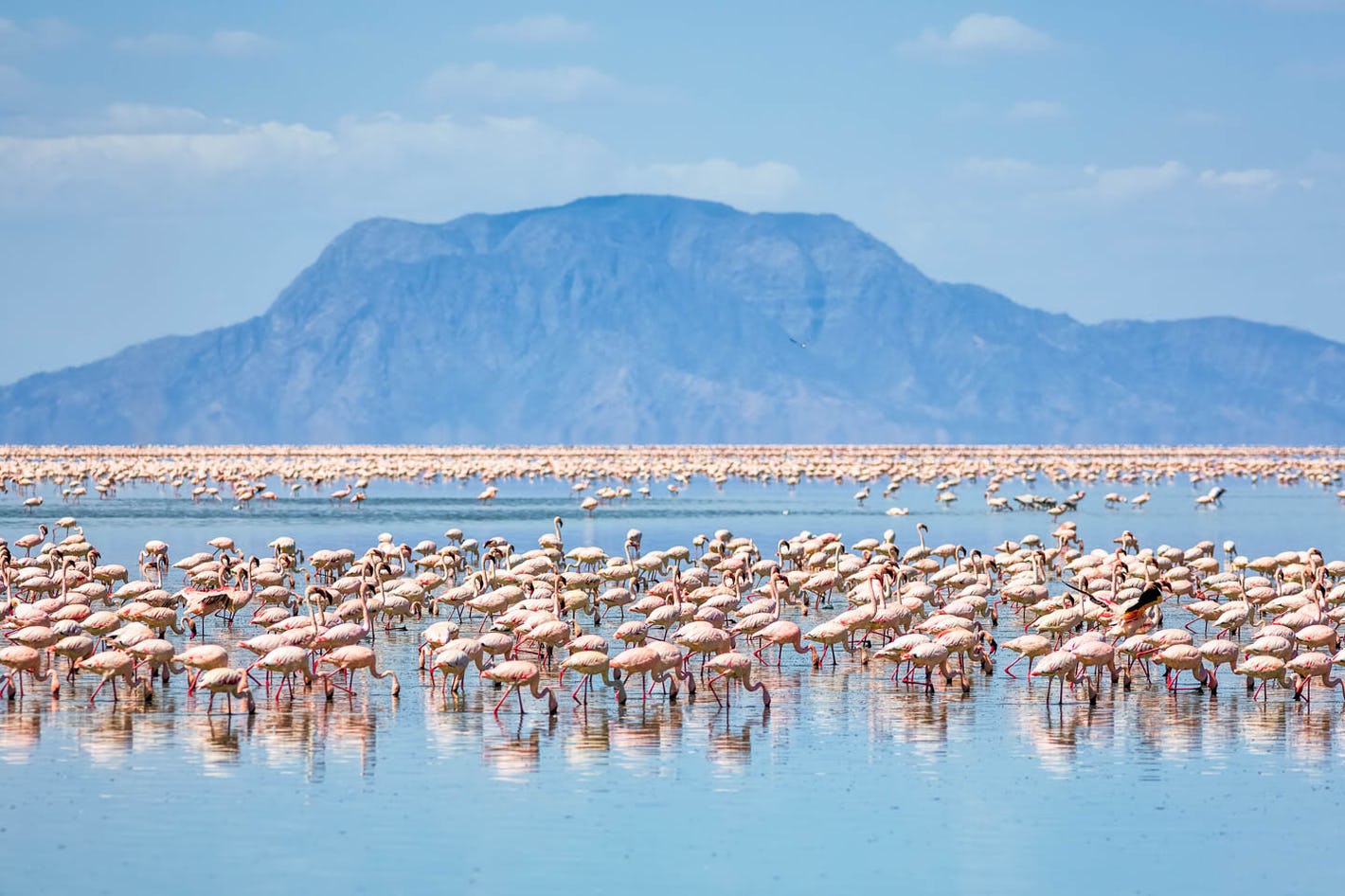 LAKE NATRON.