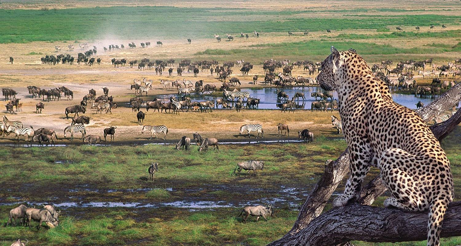 Private Camping Safari in Serengeti & Ngorongoro