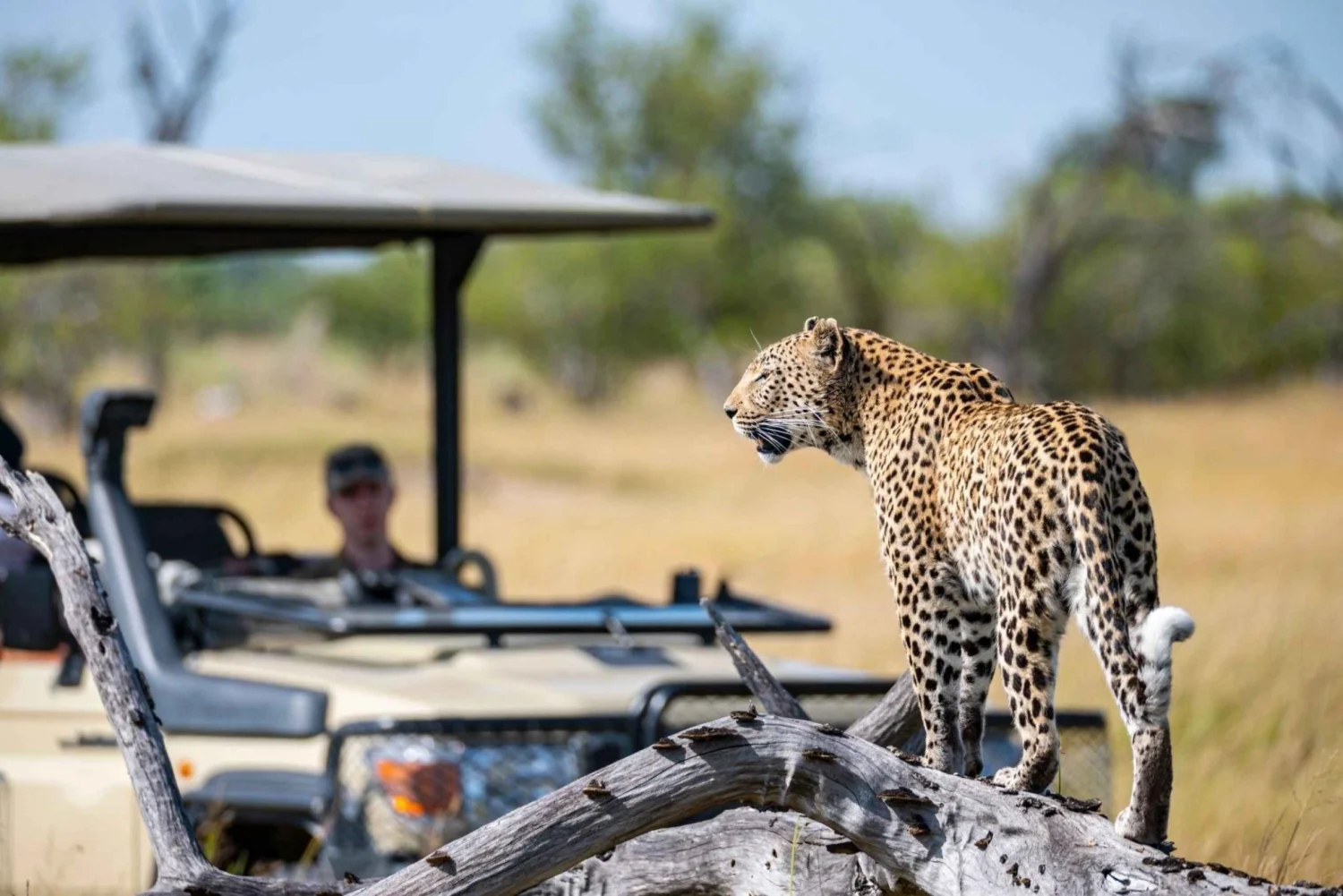 Private Camping Safari in Serengeti & Ngorongoro1