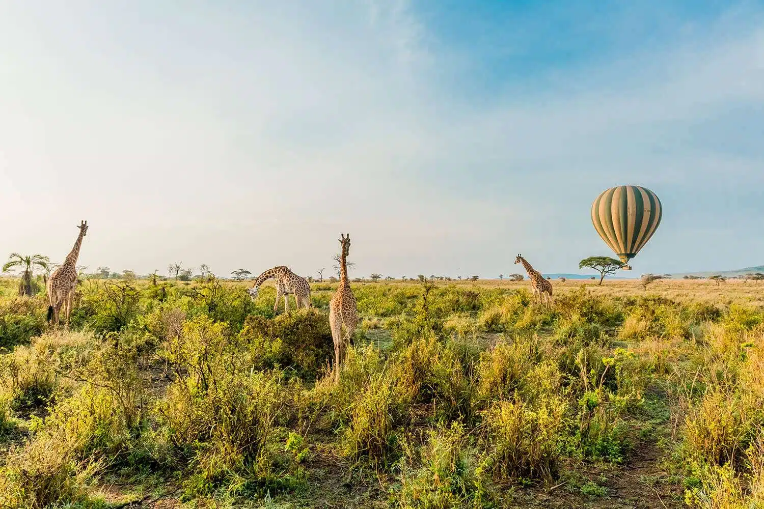 Private Camping Safari in Serengeti & Ngorongoro2