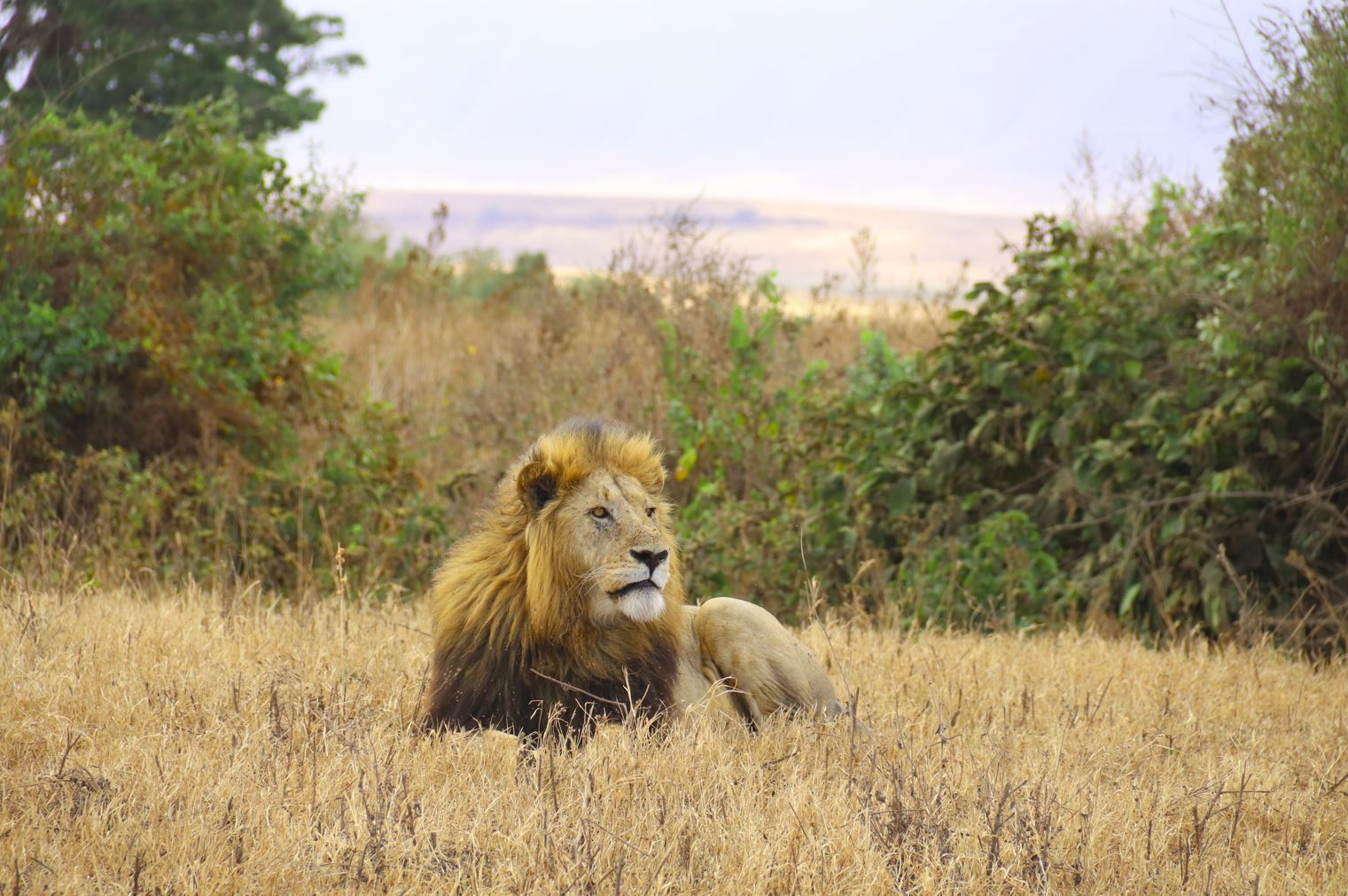 Wonders of Tanzania Safari Experience5