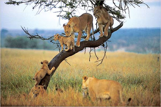 lake manyara national park