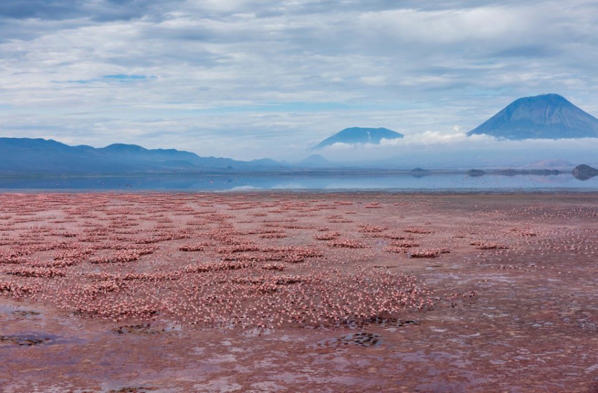 LAKE NATRON