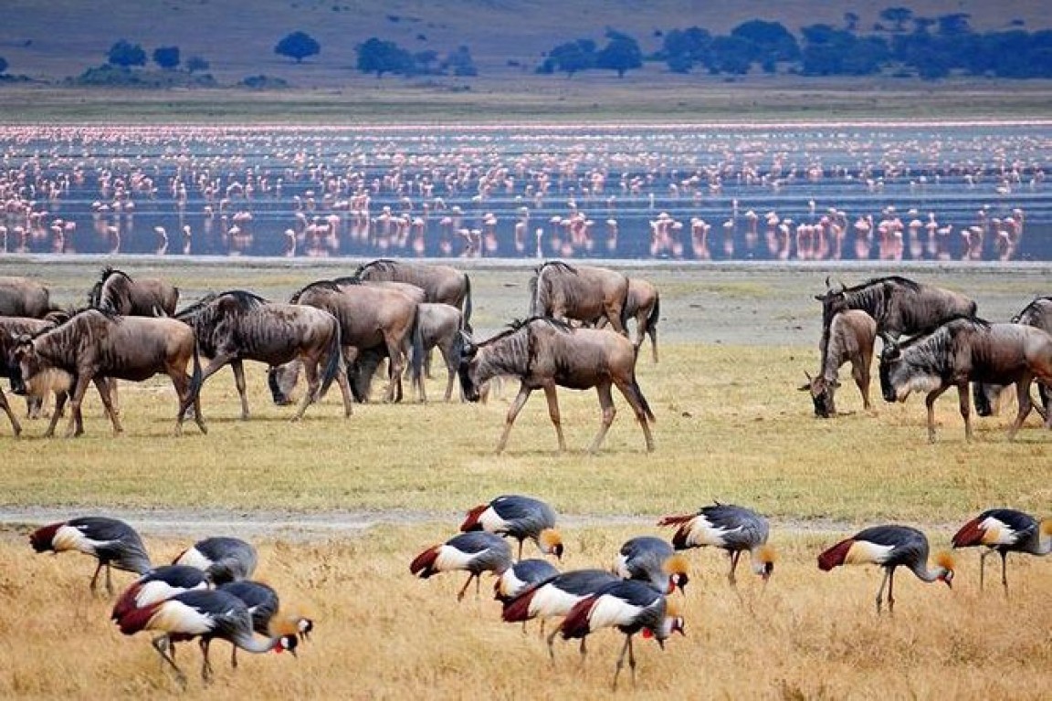 lake manyara national park1.