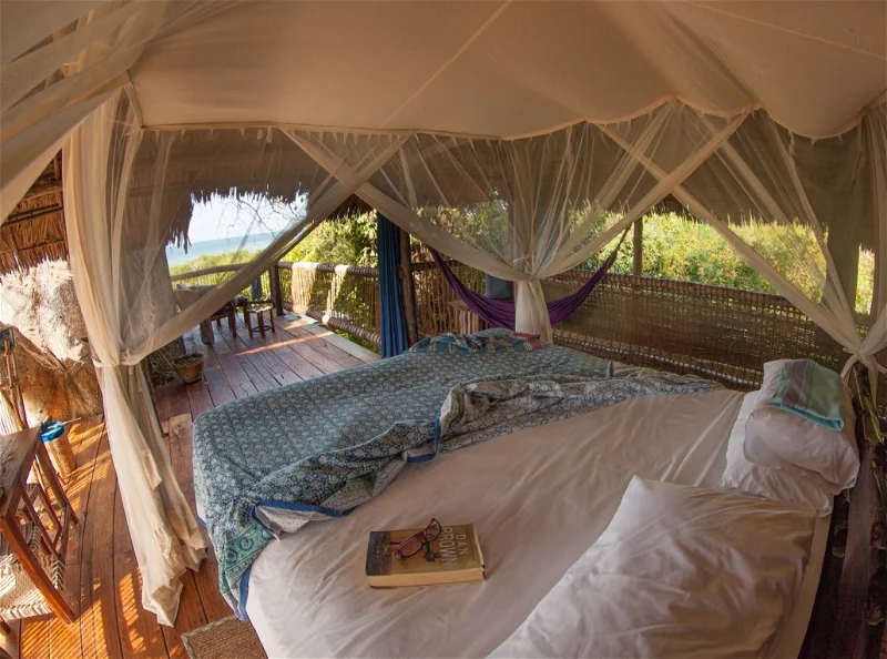 Chole Mjini Tree House Lodge4