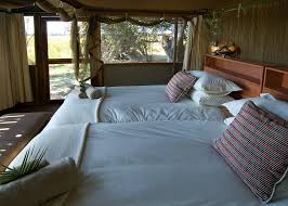 Acacia Bliss Twin Room - Colours Africa Tours