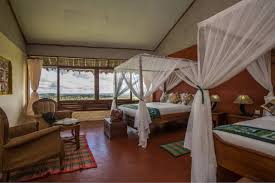 Serengeti Simba Lodge Twin Room - Colours Africa Tours