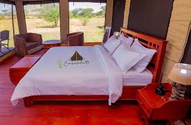 Standard Single Room - Colours Africa Tours