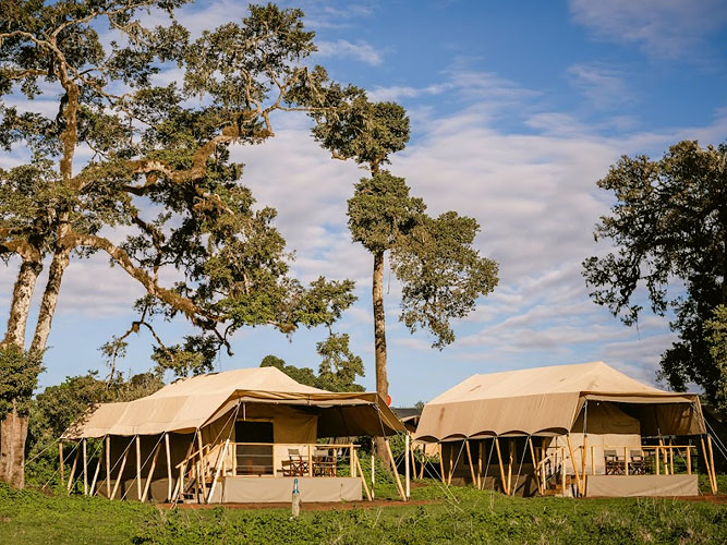 ngorongoro-camp- familiy tent