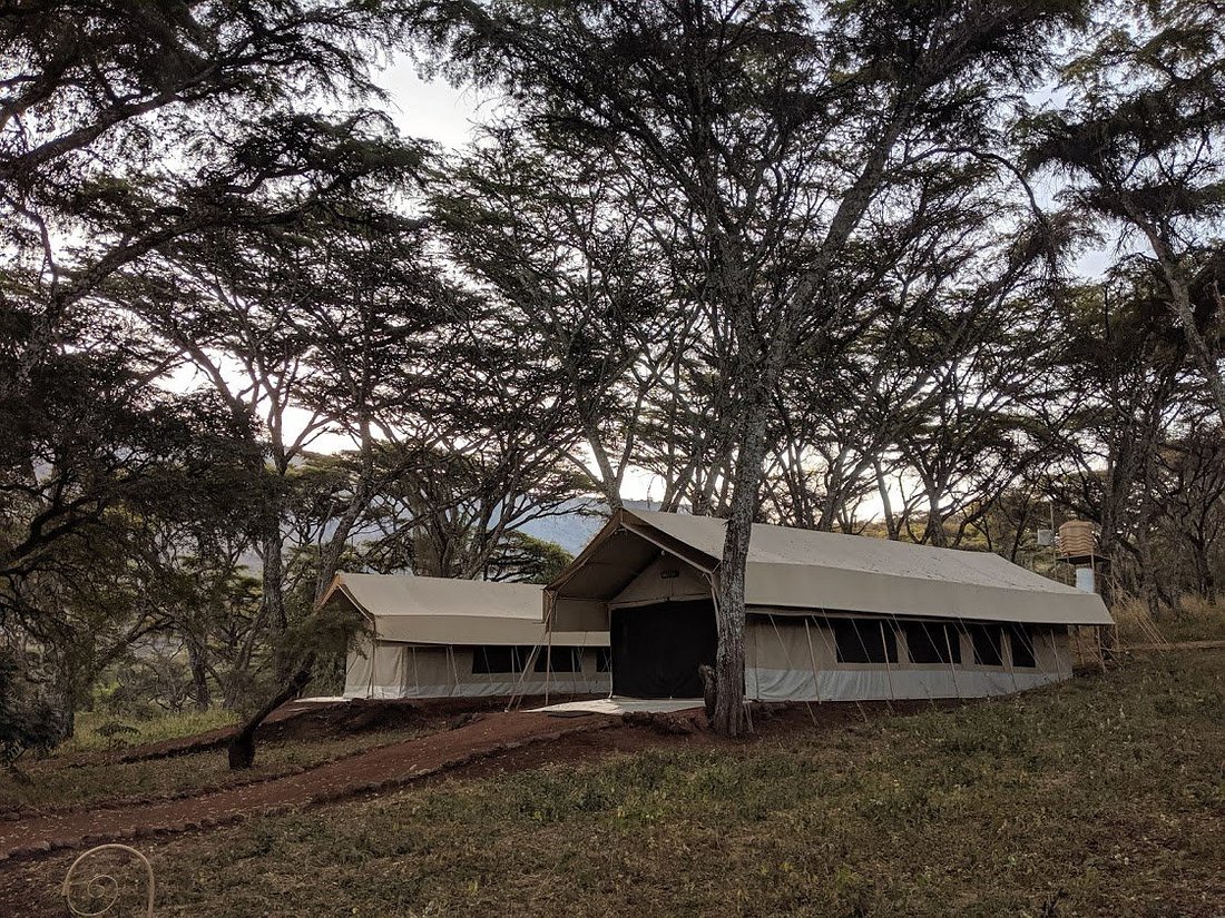 ngorongoro-tortilis-family tents