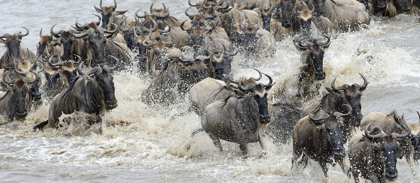 northern-serengeti-tanzania