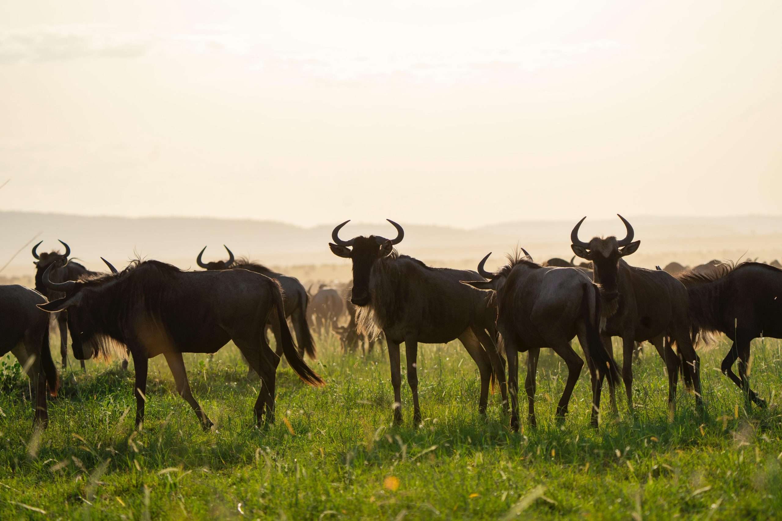 031127aa-8e5d-4fbf-acac-ac06cc8fa094