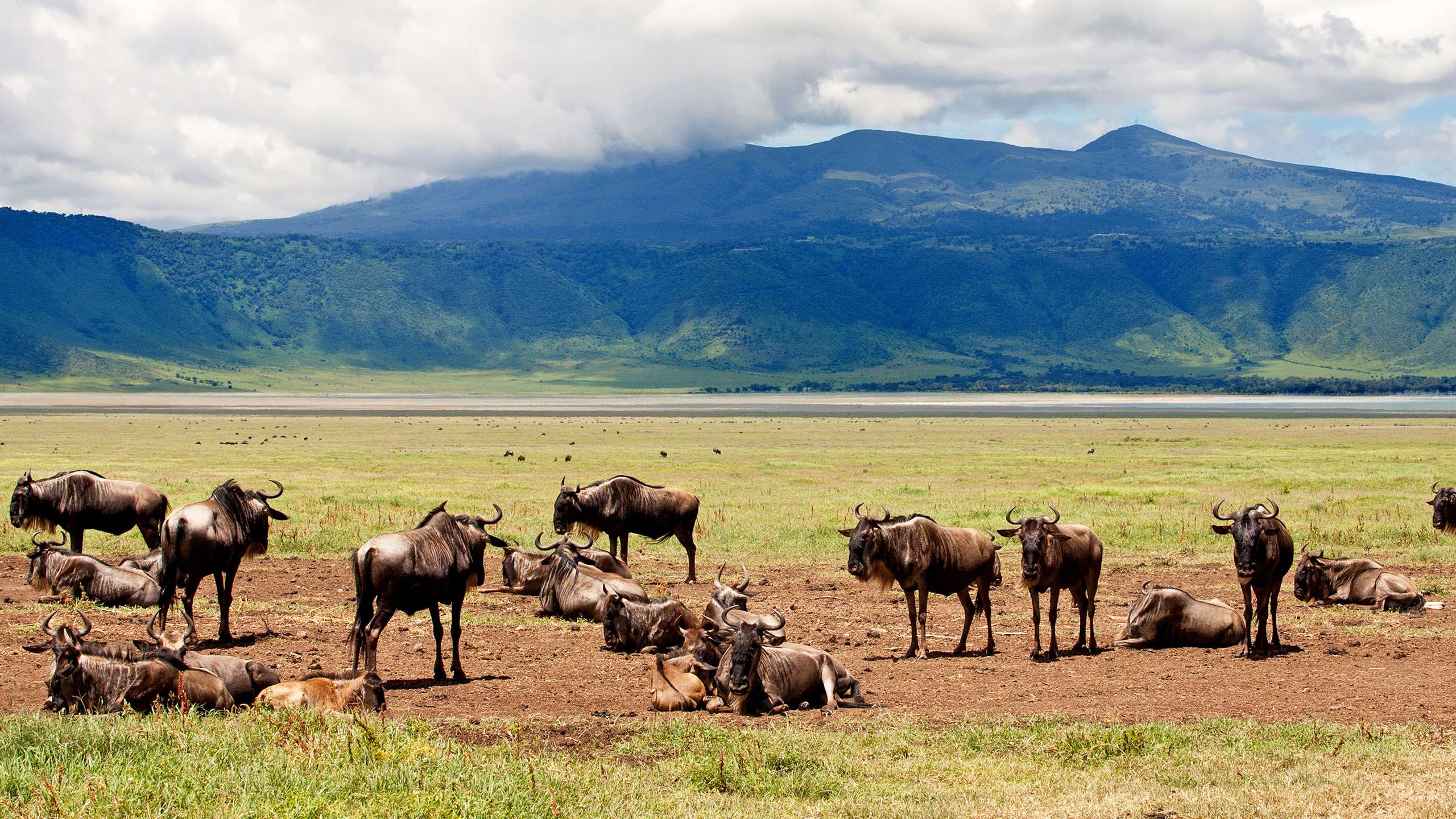Ngorongoro-Crater