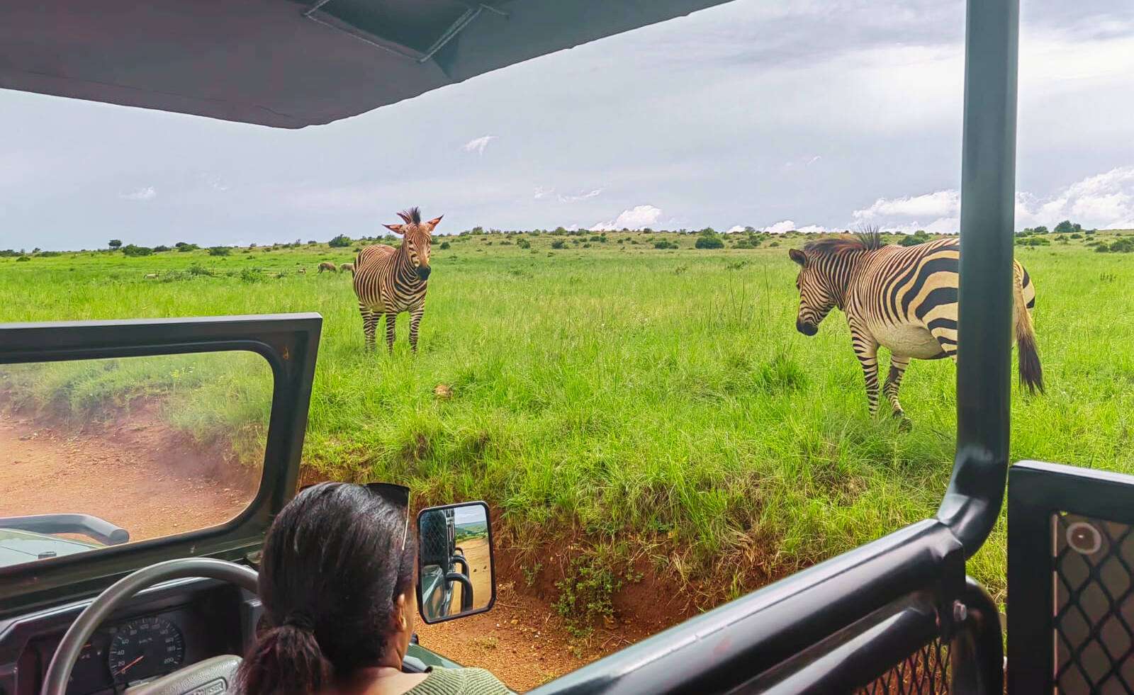 Rhino-and-Lion-Safari-with-Wondercave-from-Johannesburg