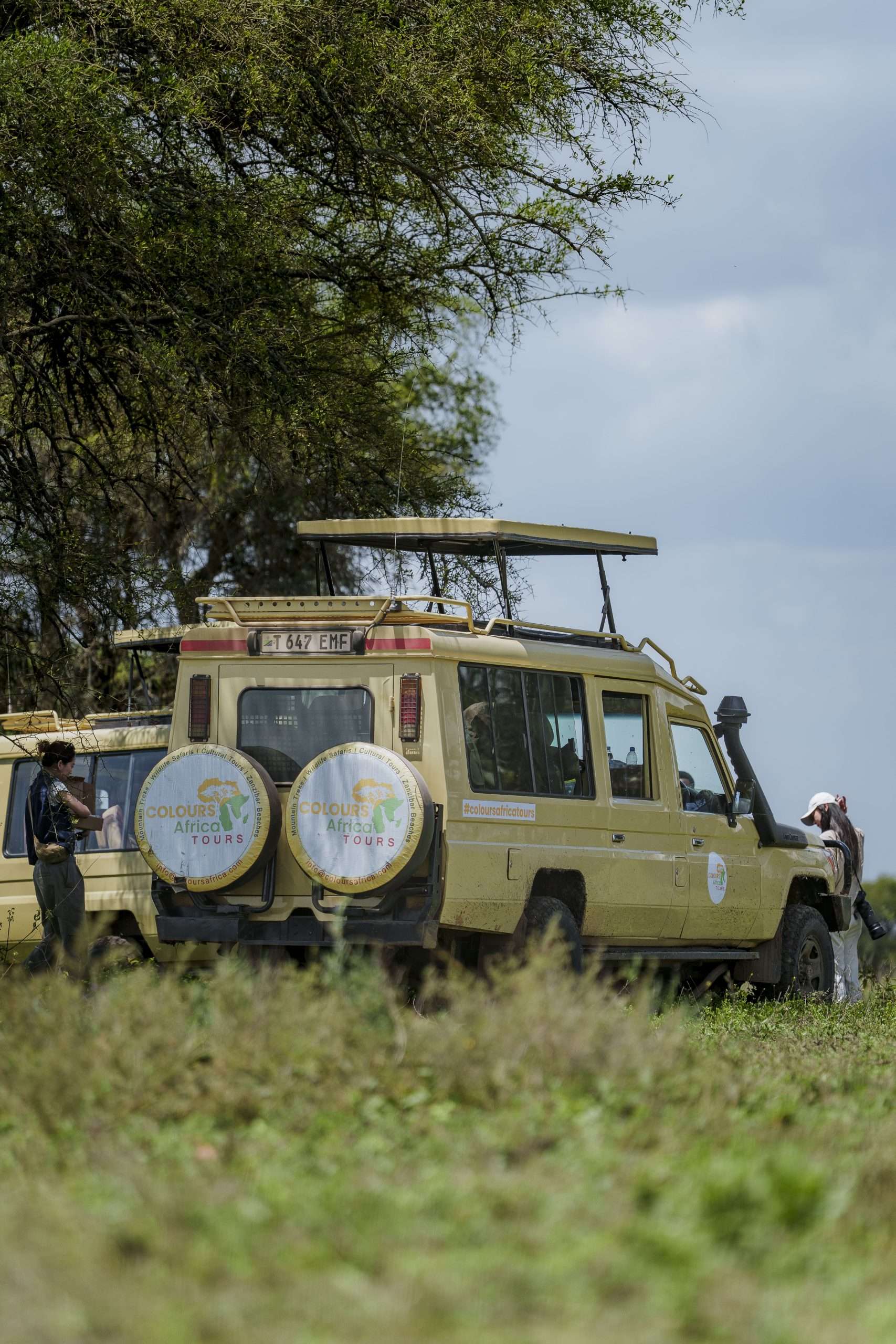 6 Days Tanzania Safari from Nairobi | Serengeti, Ngorongoro & Tarangire
