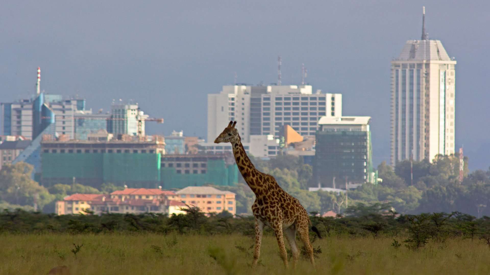 nairobi