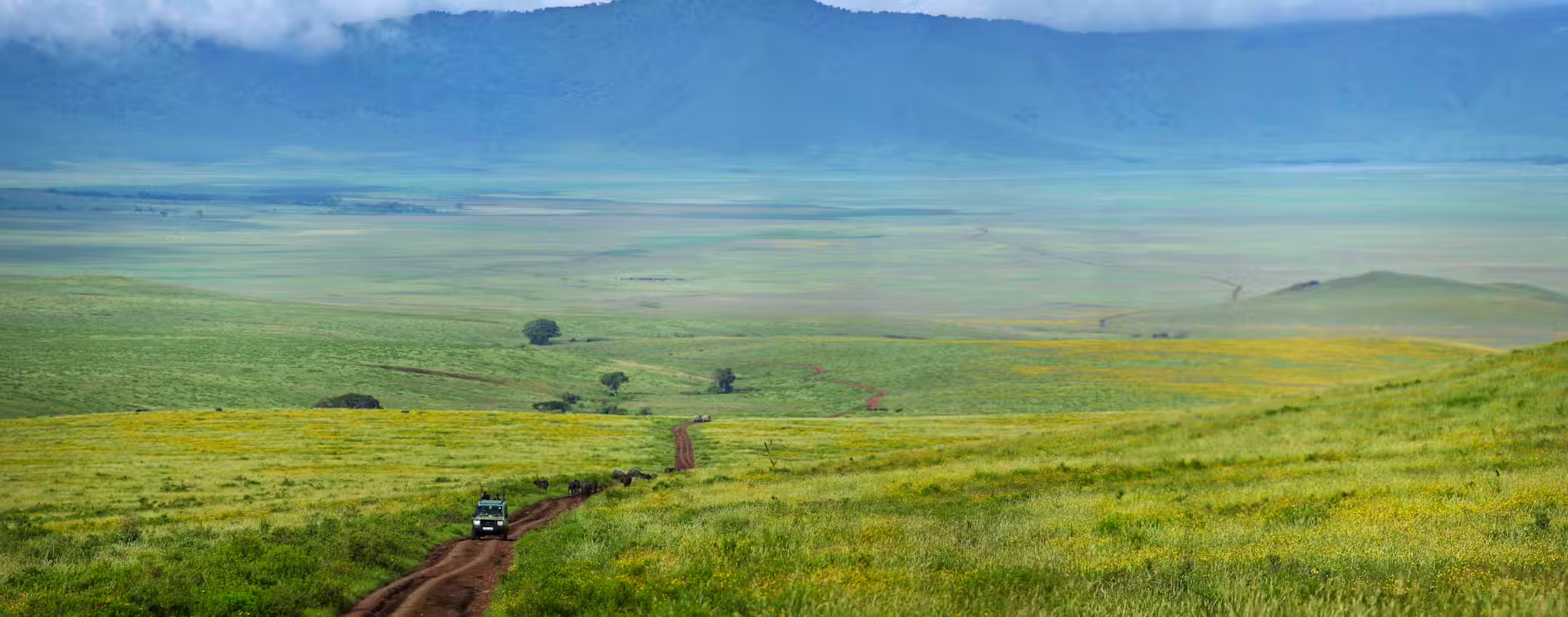 Ngorongoro Crater safari view from The Highlands lodge Tanzania
