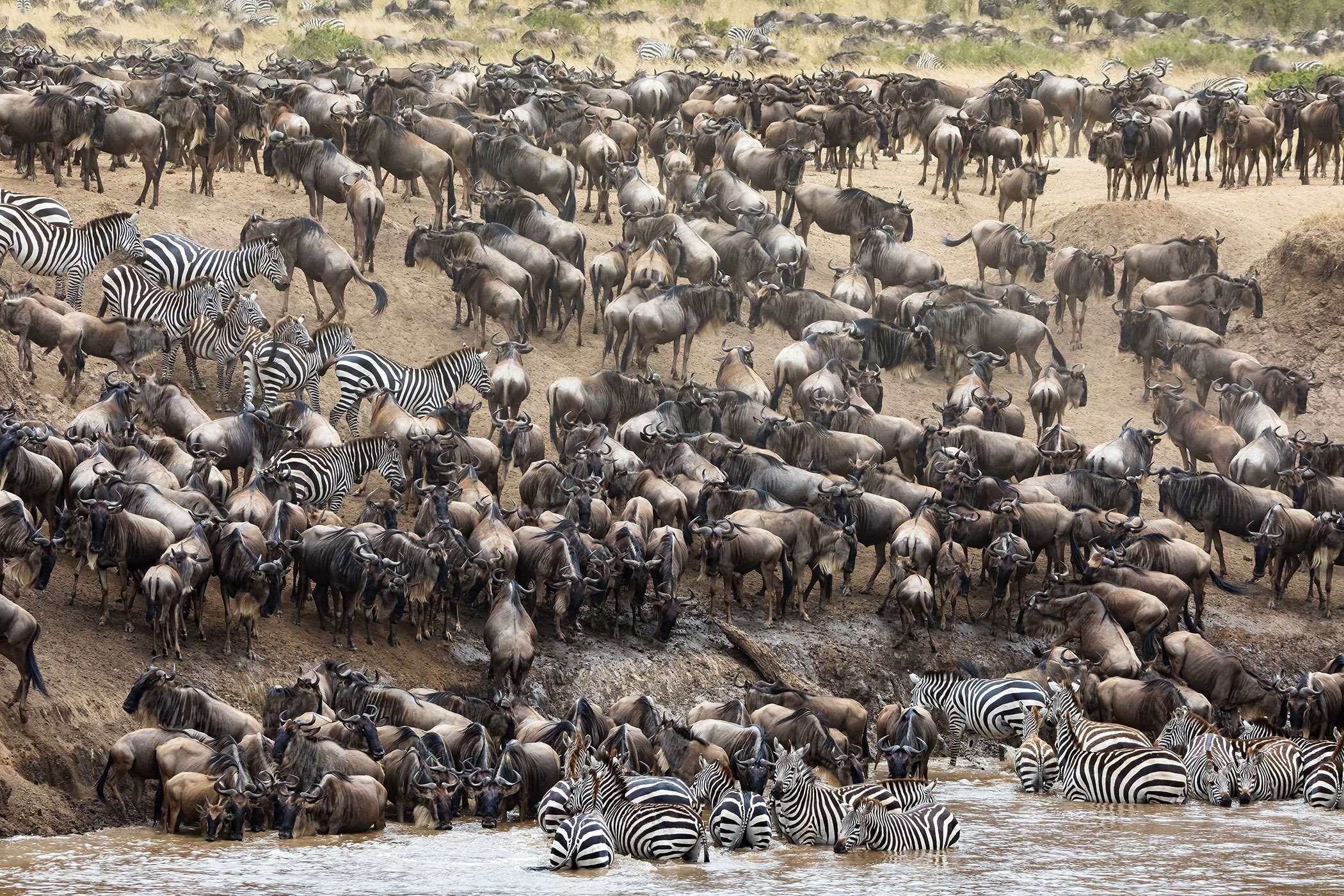 9-Day Ultimate Fly-In Family Safari | Big Five & Great Migration