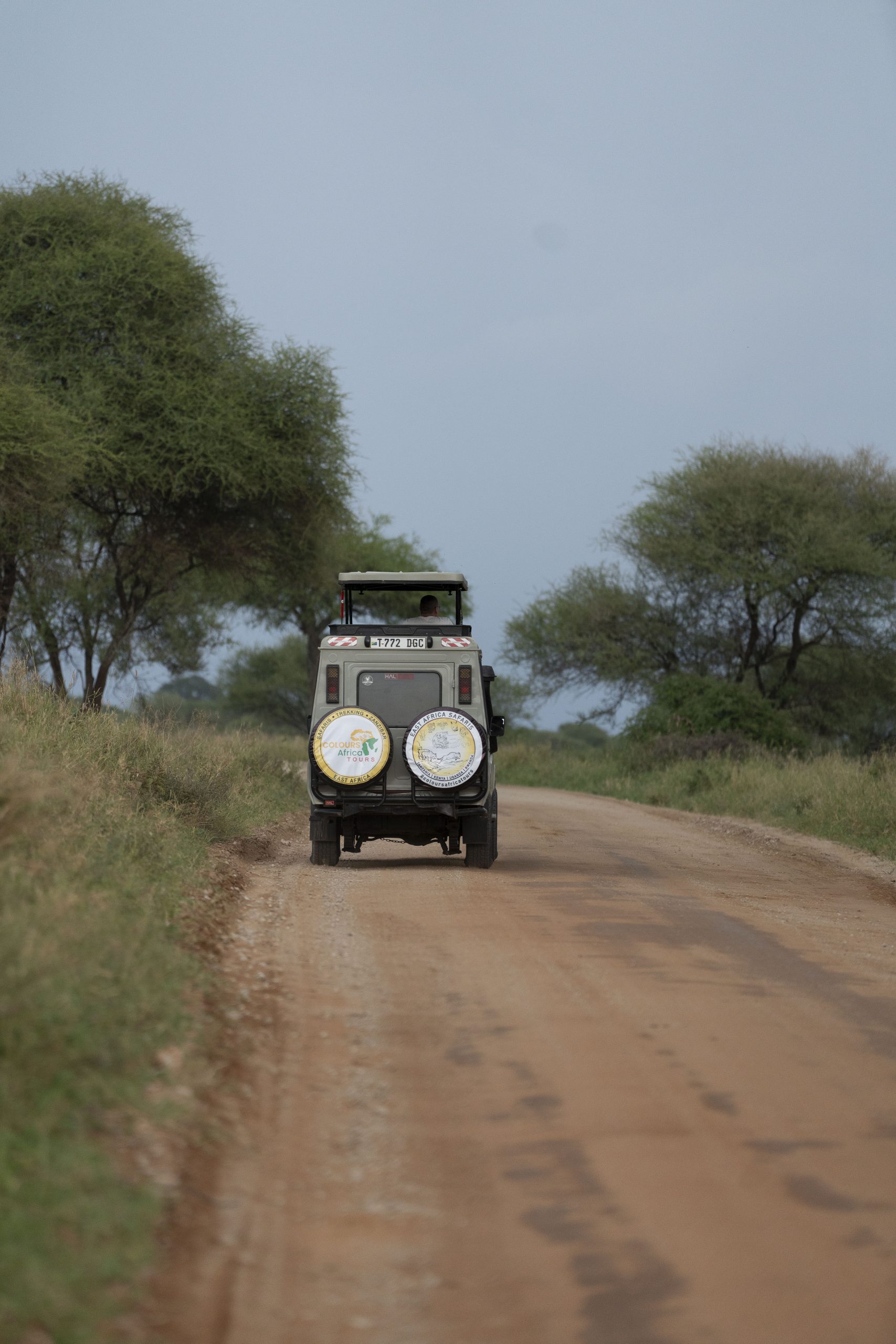 5 Days Tanzania Safari | Serengeti, Ngorongoro & Lake Eyasi Cultural Experience