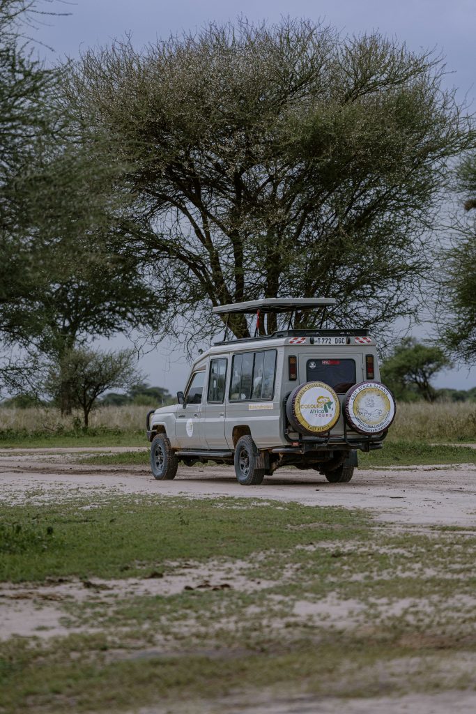 5 Days Serengeti Migration Safari from Zanzibar (Fly-In Experience)