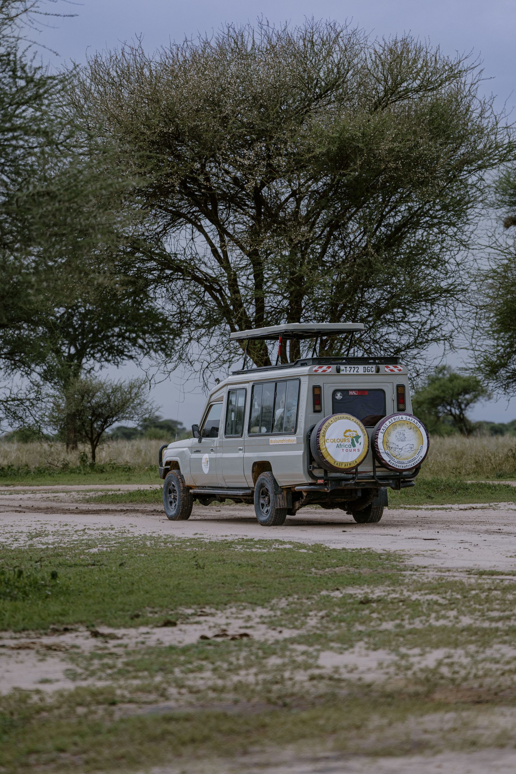 5 Days Serengeti Migration Safari from Zanzibar (Fly-In Experience)