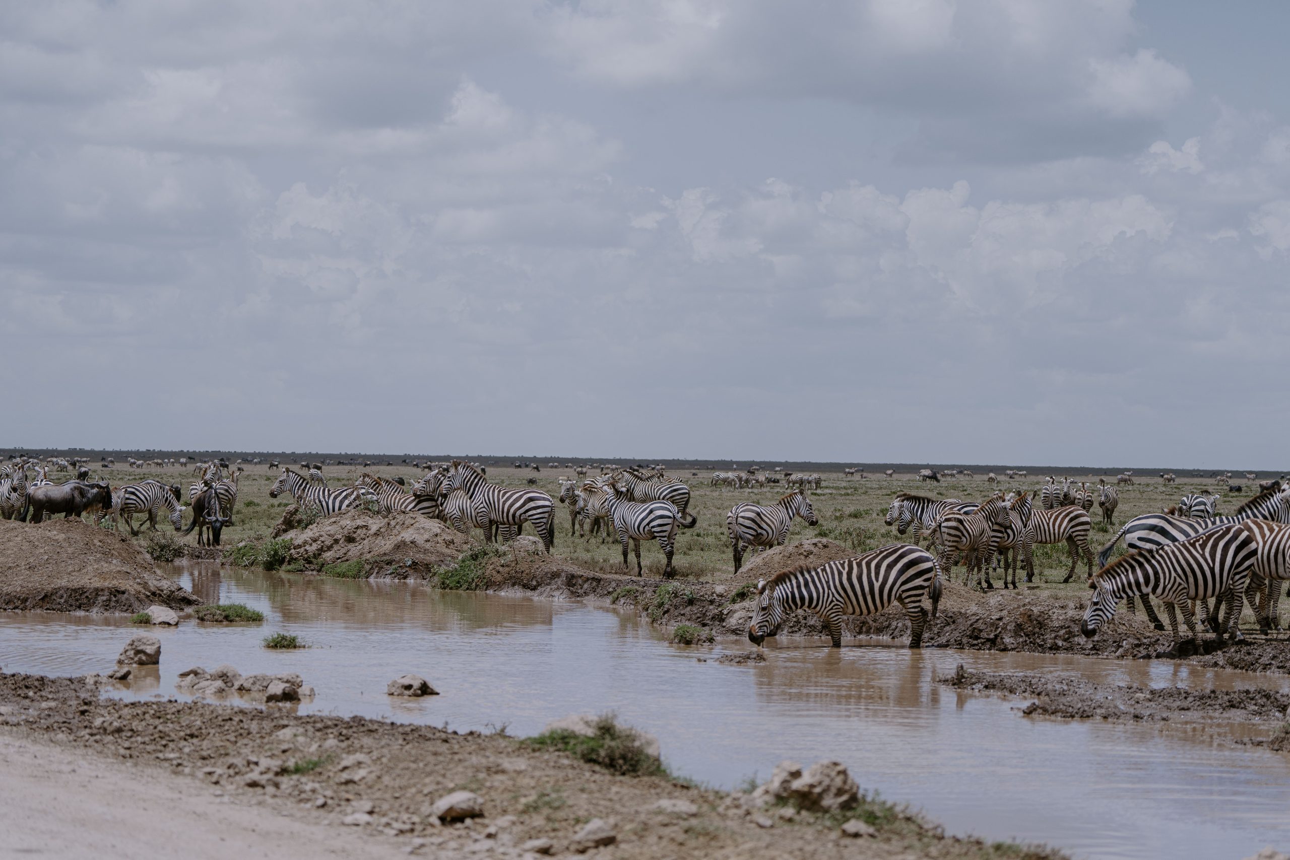 5 Days Tanzania Safari | Serengeti, Ngorongoro & Lake Eyasi Cultural Experience
