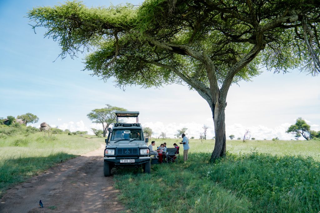 6 Days Tanzania Migration Safari | Ndutu Calving Season Jan - March.