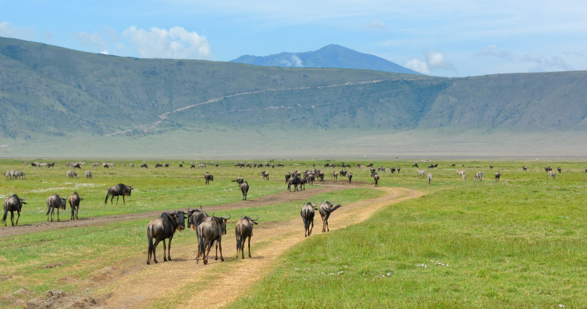 8 Days Tanzania Family Safari & Zanzibar Beach Holiday | Serengeti, Ngorongoro & Island Escape