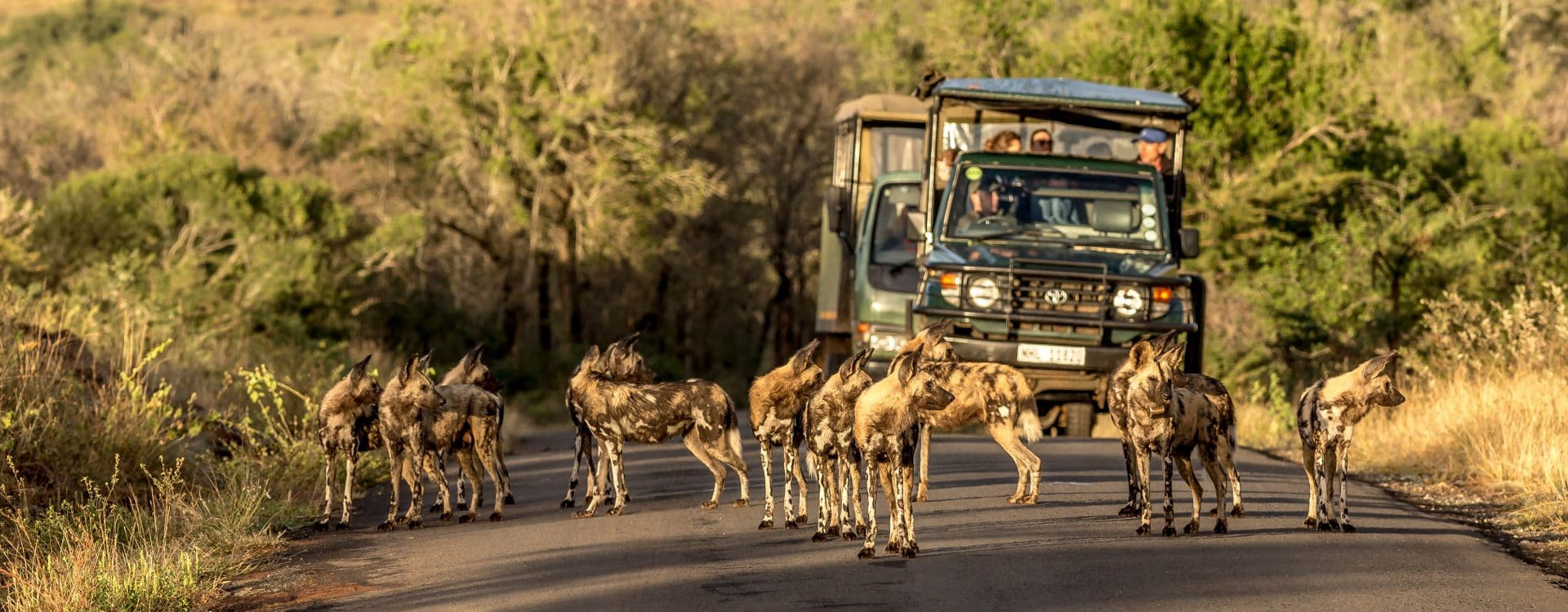 Nyerere National Park Family Safari | Game Drives, Boat & Walking Adventures