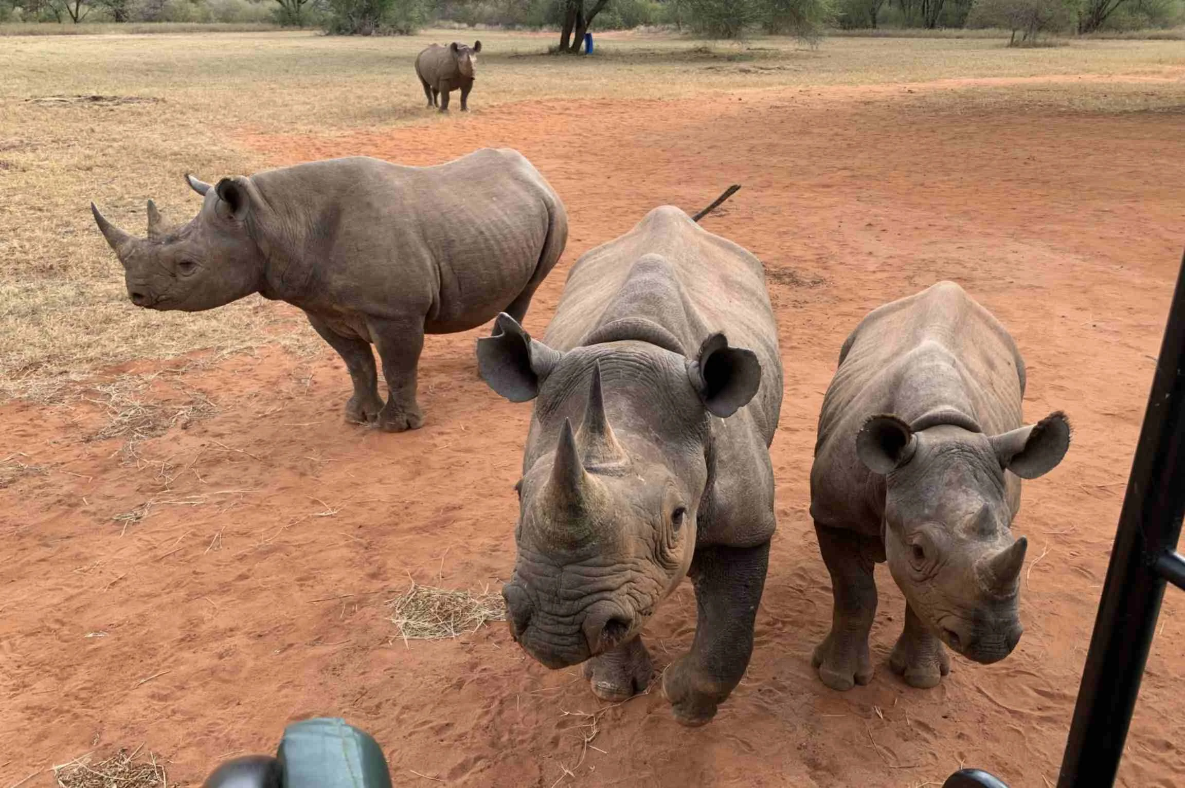 7-Day Tanzania Family Safari|Mkomazi, Materuni Waterfalls & Big 5 Experience