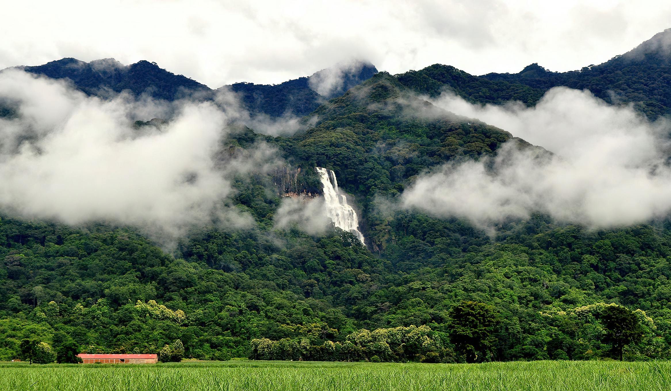 Affordable 3-Day Mikumi & Udzungwa Safari from Zanzibar