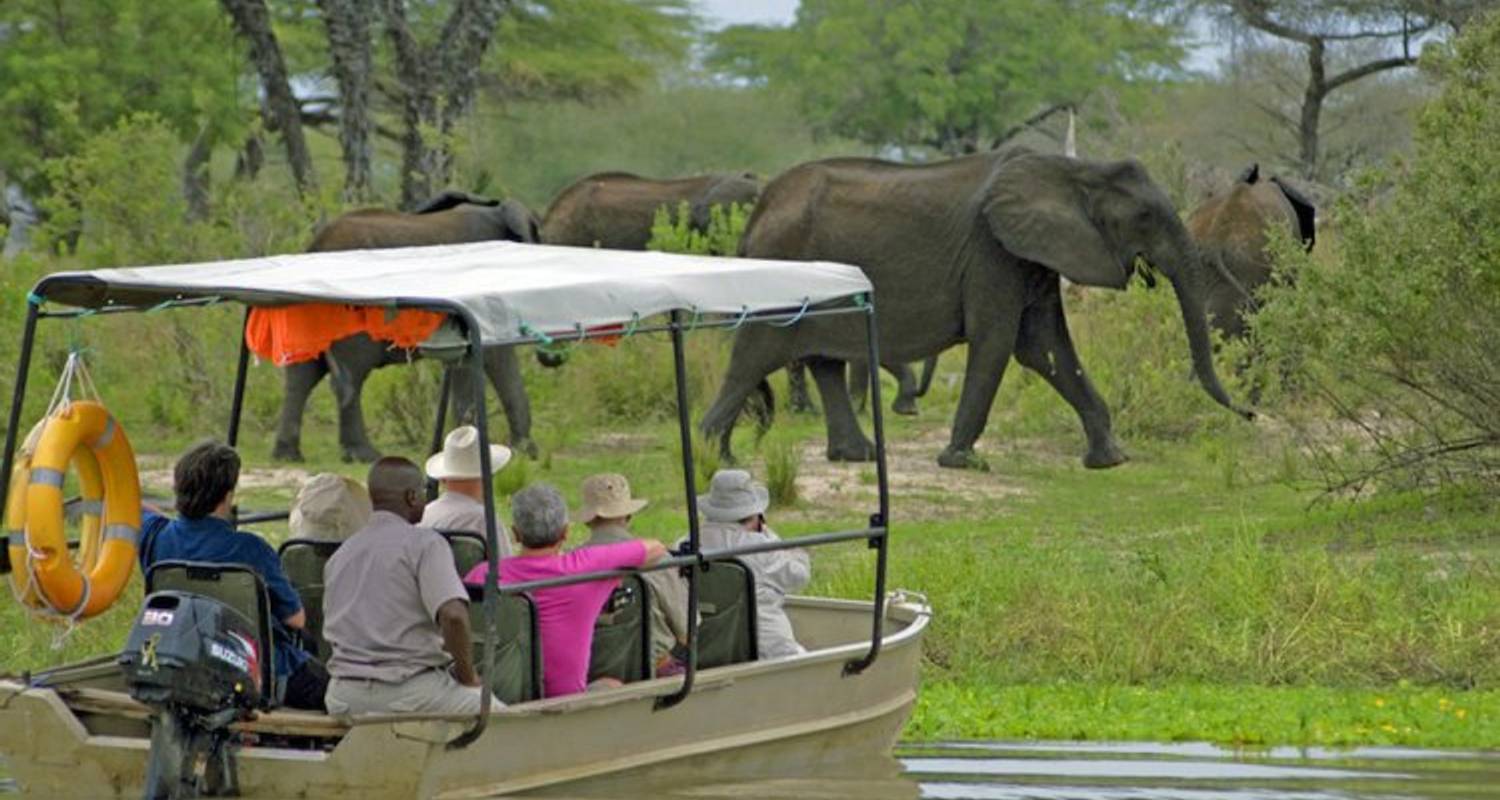 Nyerere National Park Family Safari | Game Drives, Boat & Walking Adventures