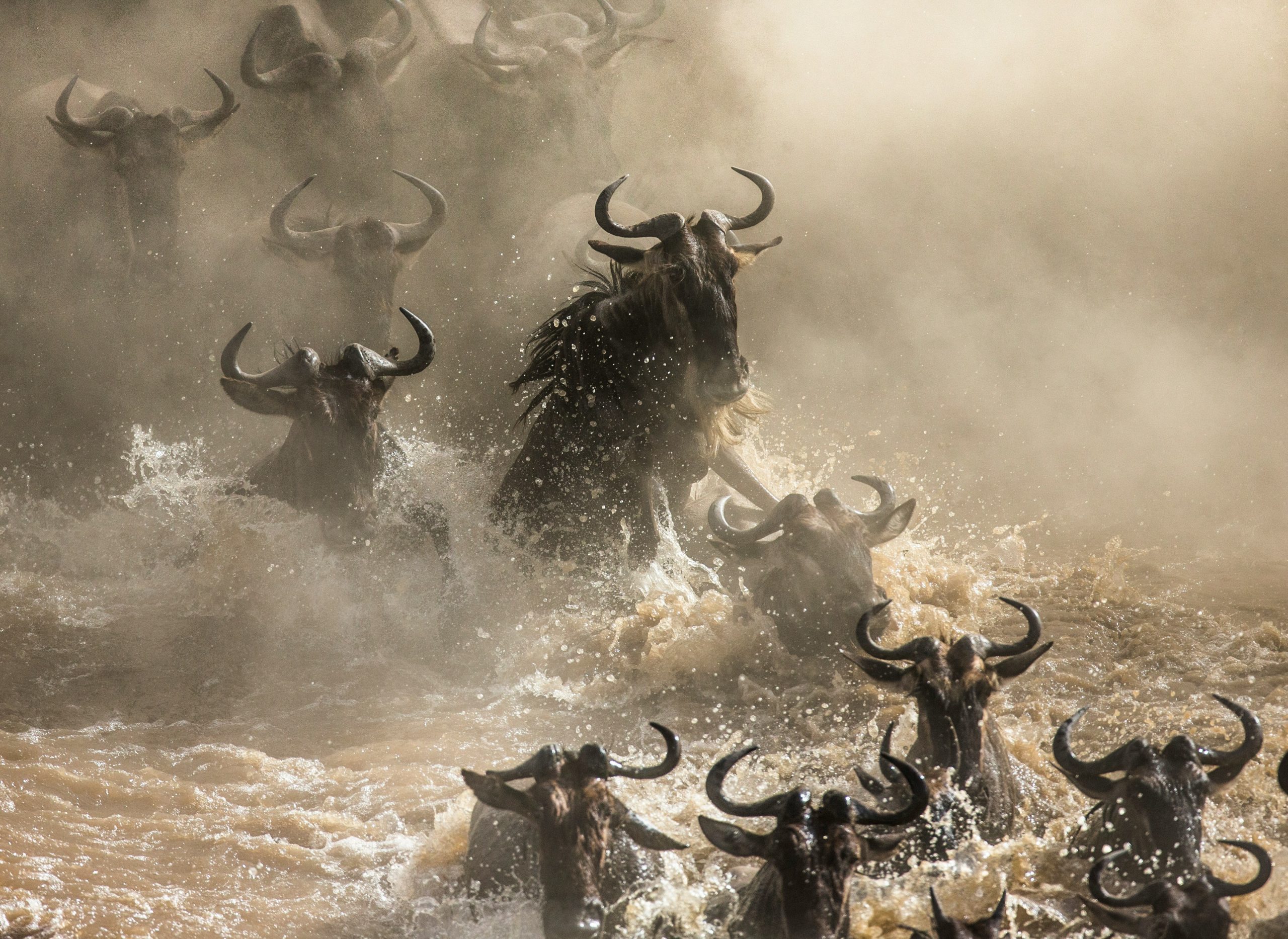 7 Days Tanzania Migration Safari | Serengeti Wildebeest Experience