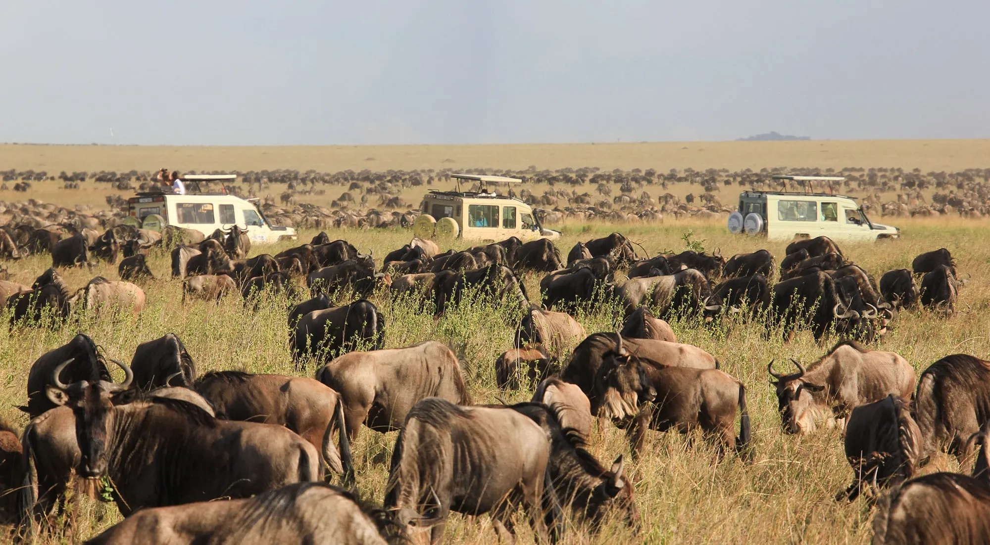 maasai mara 3