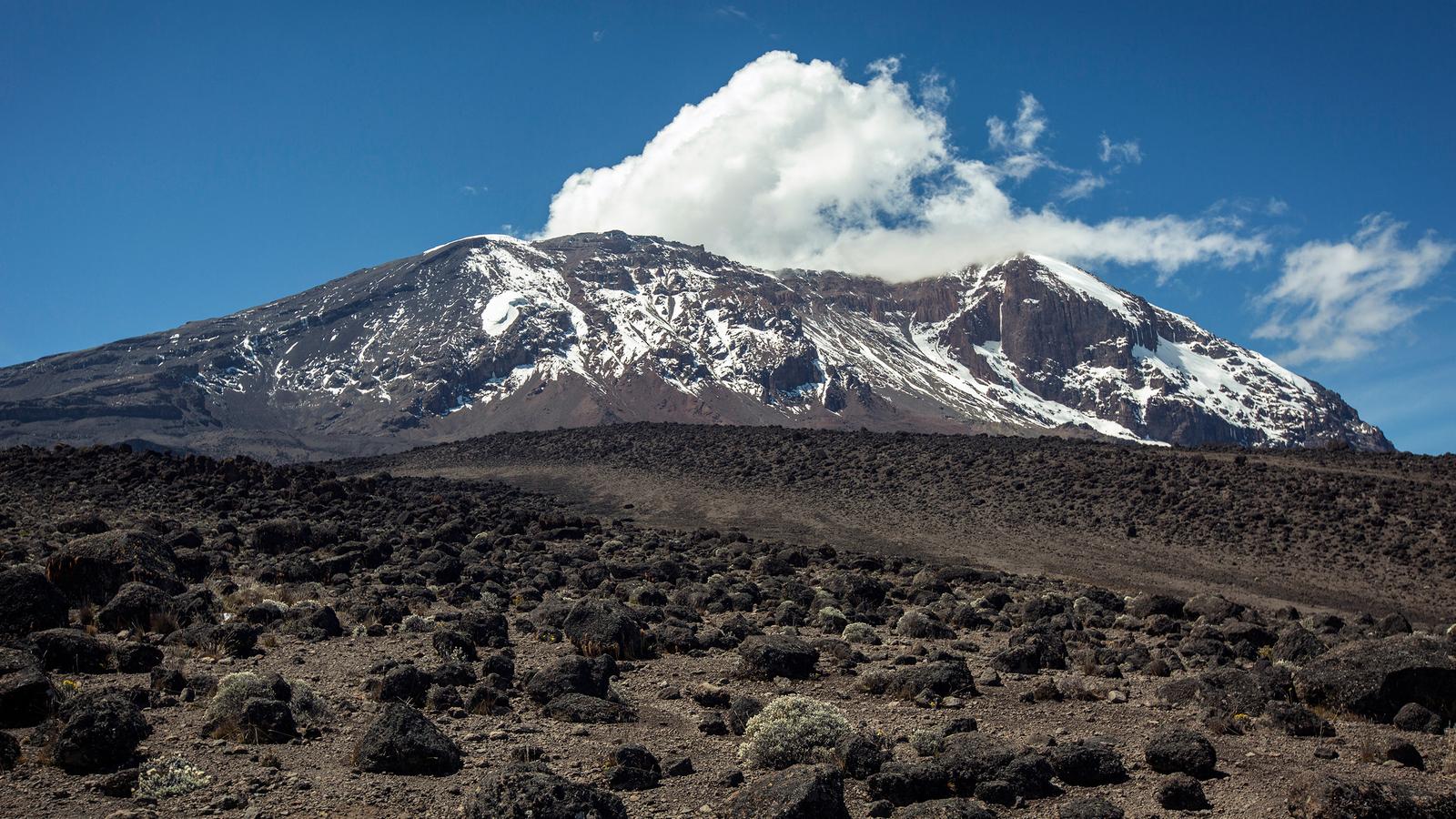 11-Day Tanzania Wildlife & Hiking Safari | Serengeti, Ngorongoro & Kilimanjaro