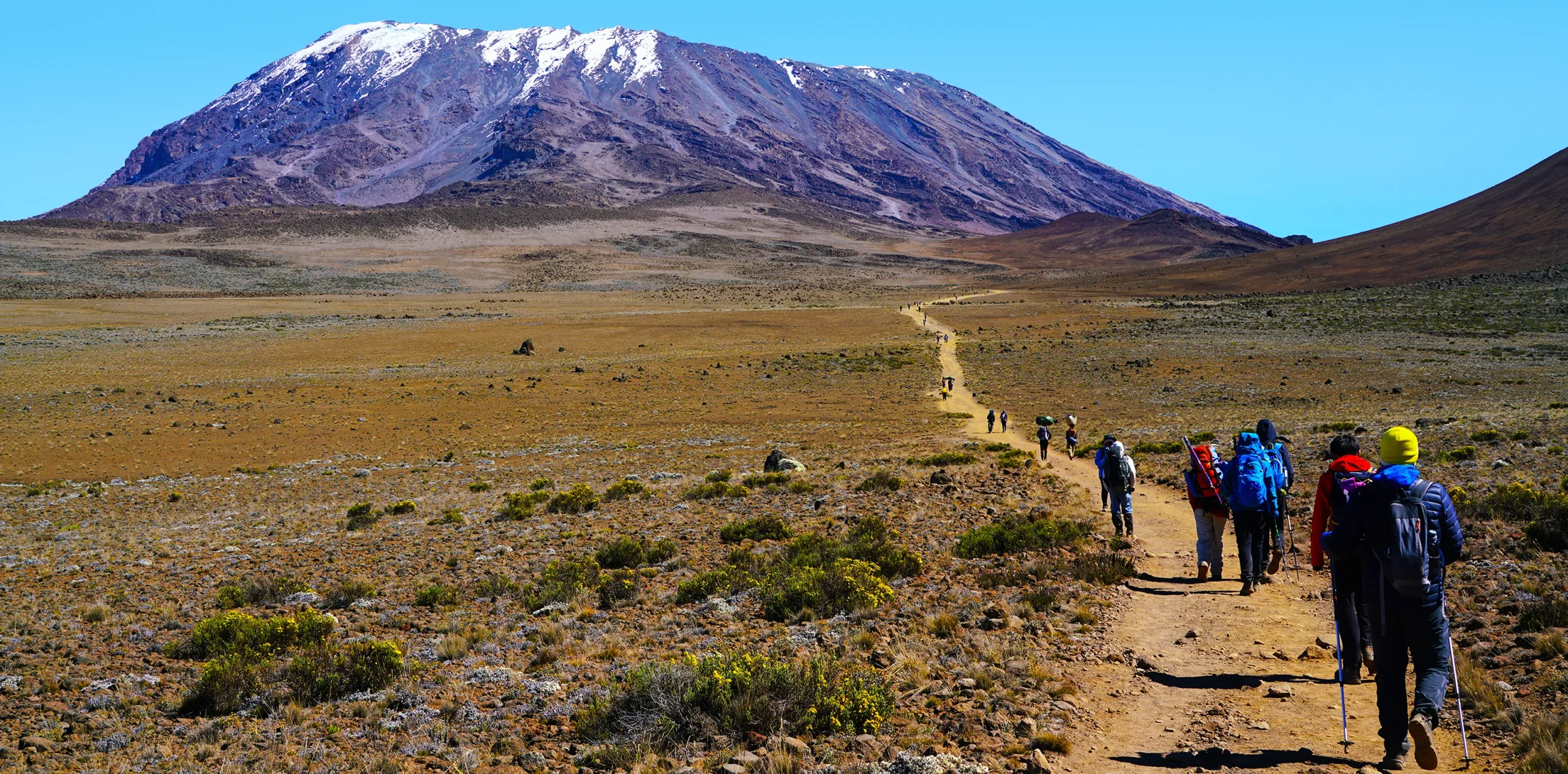 11-Day Tanzania Wildlife & Hiking Safari | Serengeti, Ngorongoro & Kilimanjaro