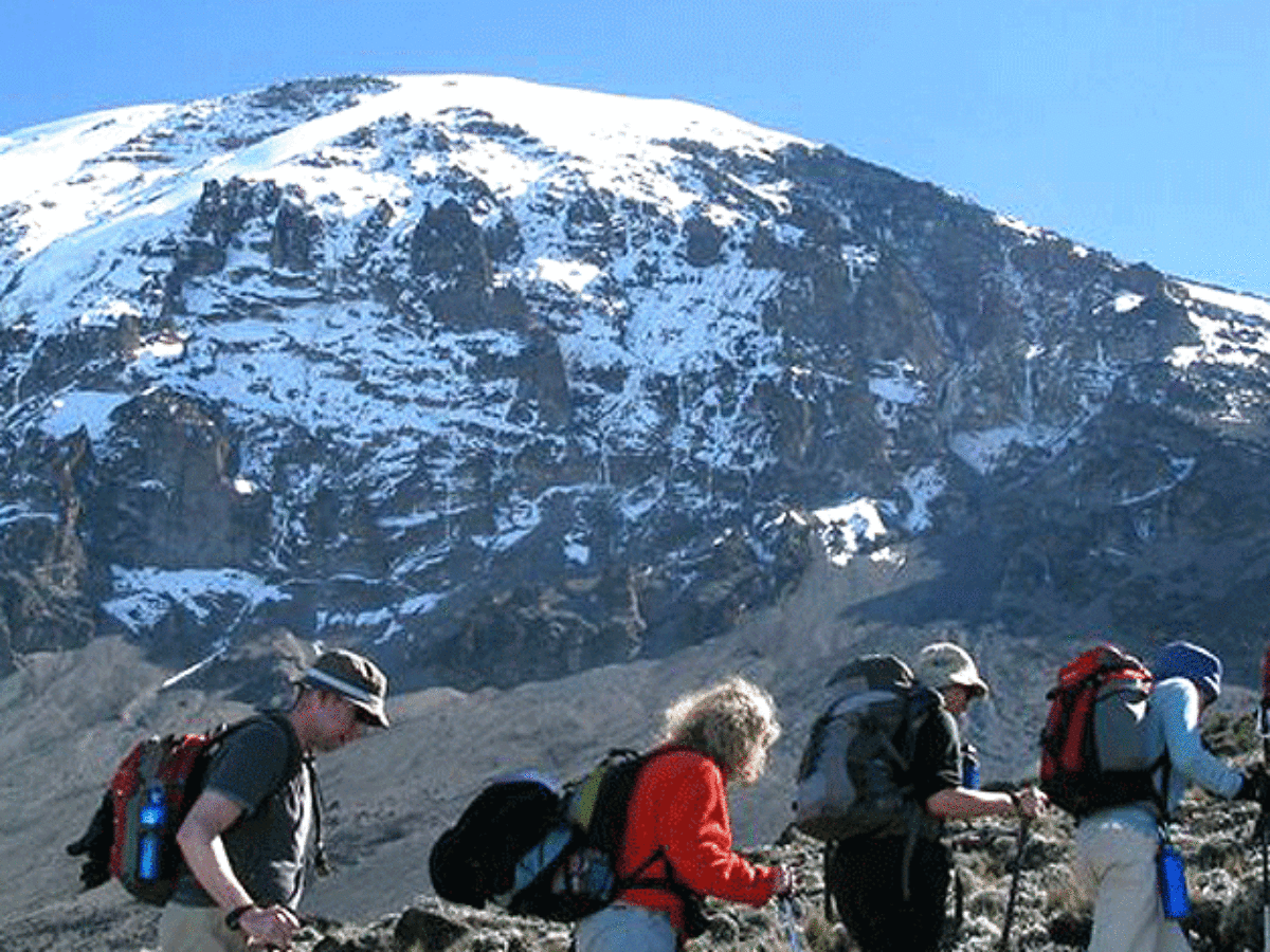 11-Day Tanzania Wildlife & Hiking Safari | Serengeti, Ngorongoro & Kilimanjaro