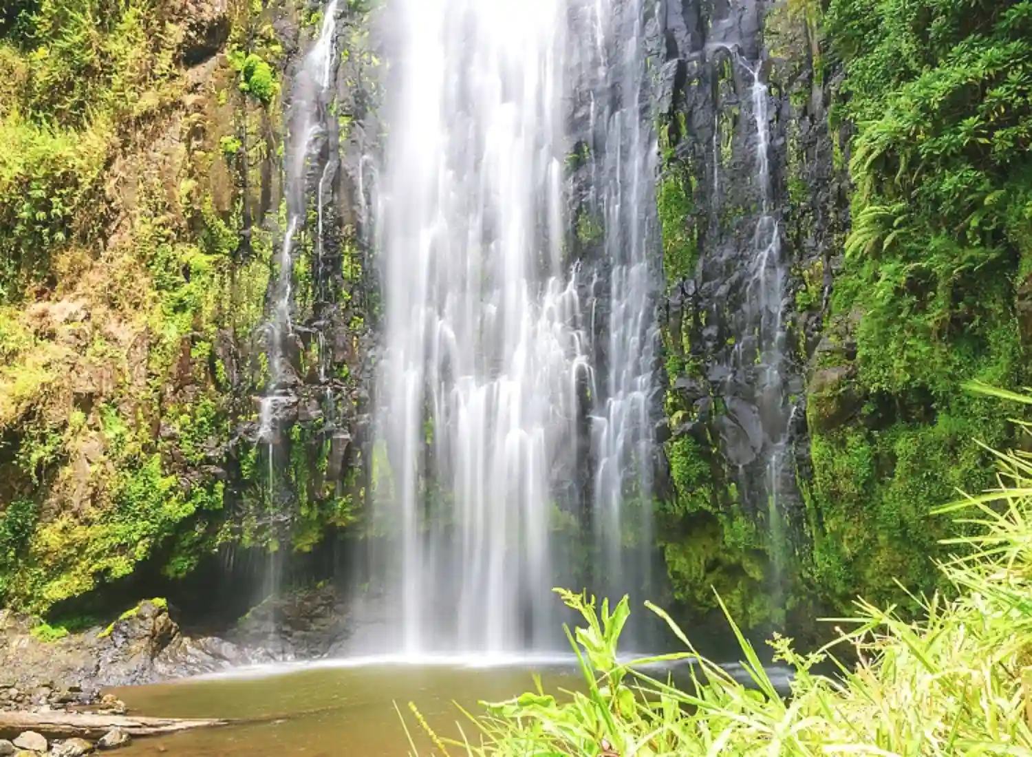 7-Day Tanzania Family Safari|Mkomazi, Materuni Waterfalls & Big 5 Experience