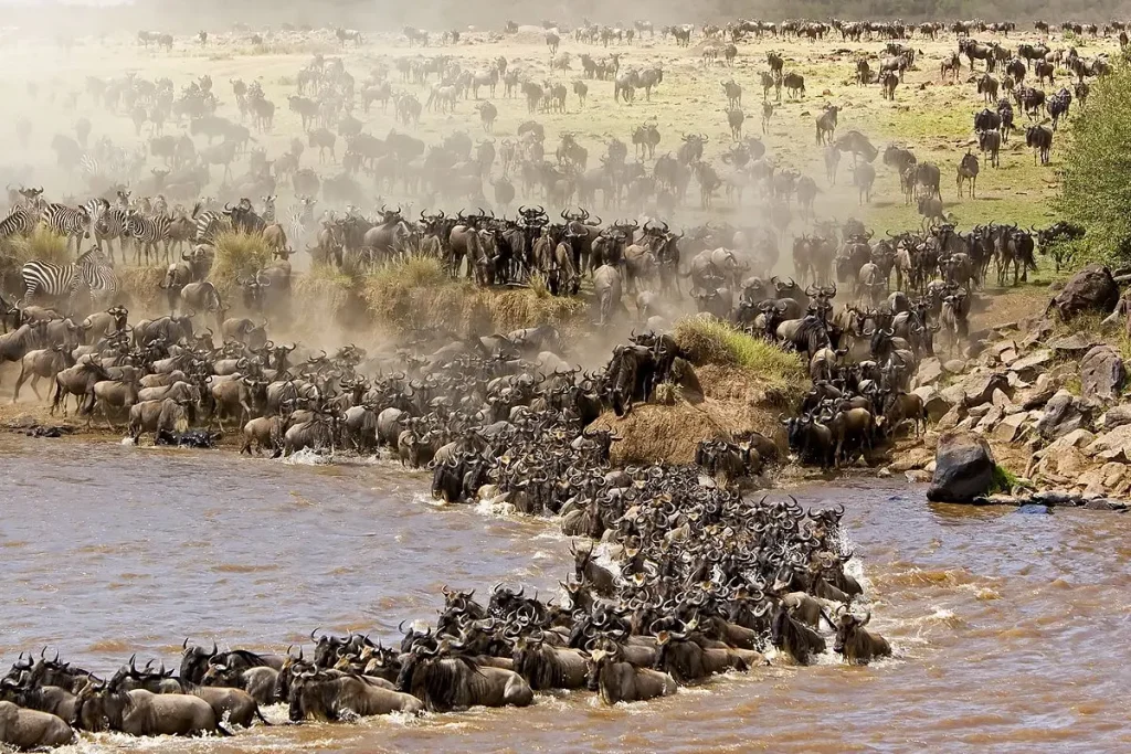 3 Days Serengeti Migration Safari from Zanzibar (Fly-in River Crossing Experience)