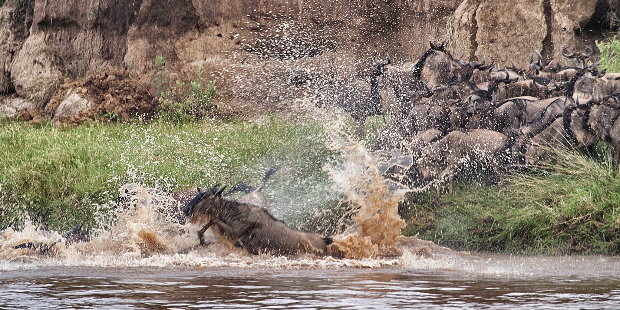 9-Day Ultimate Fly-In Family Safari| Big Five & Great Migration.
