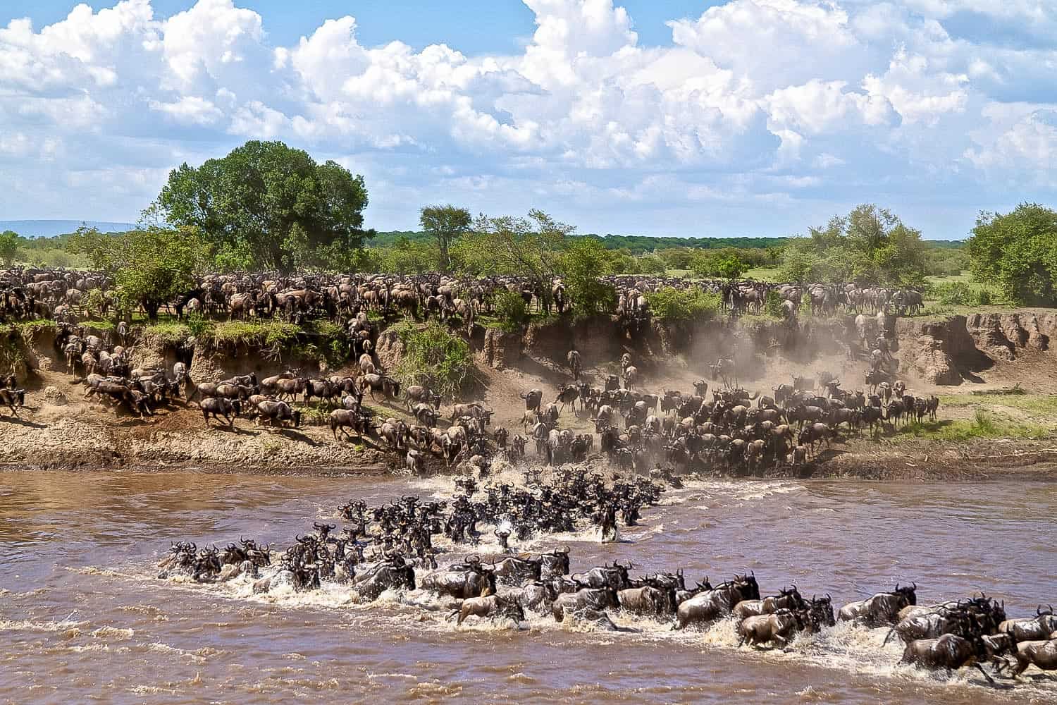 Ultimate 12-Day Tanzania Adventure | Serengeti Safari, Kilimanjaro Hike & Zanzibar Beaches.
