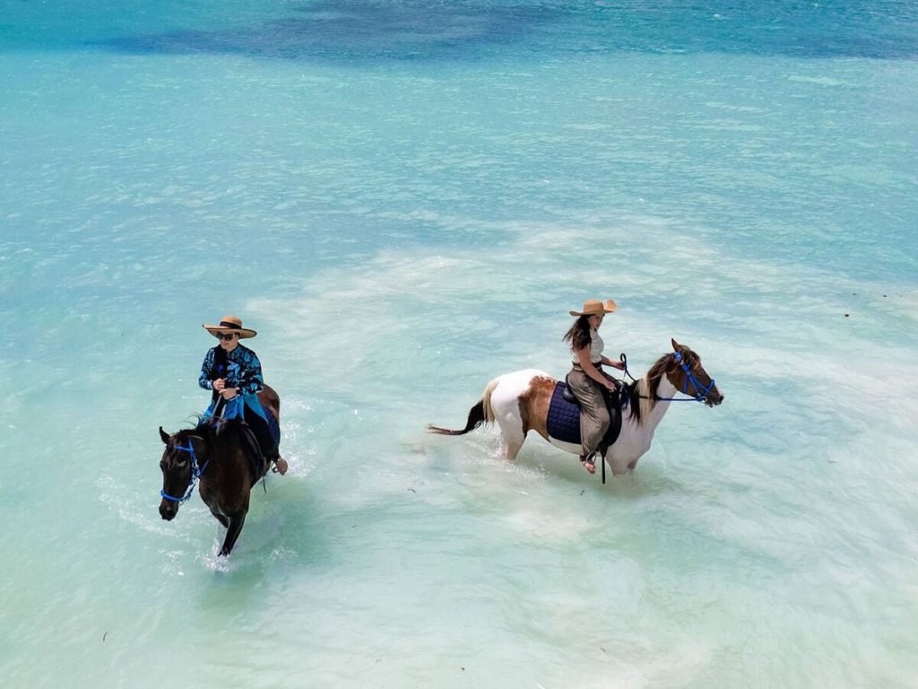 110 Days Tanzania Honeymoon Safari & Zanzibar Beach Holiday