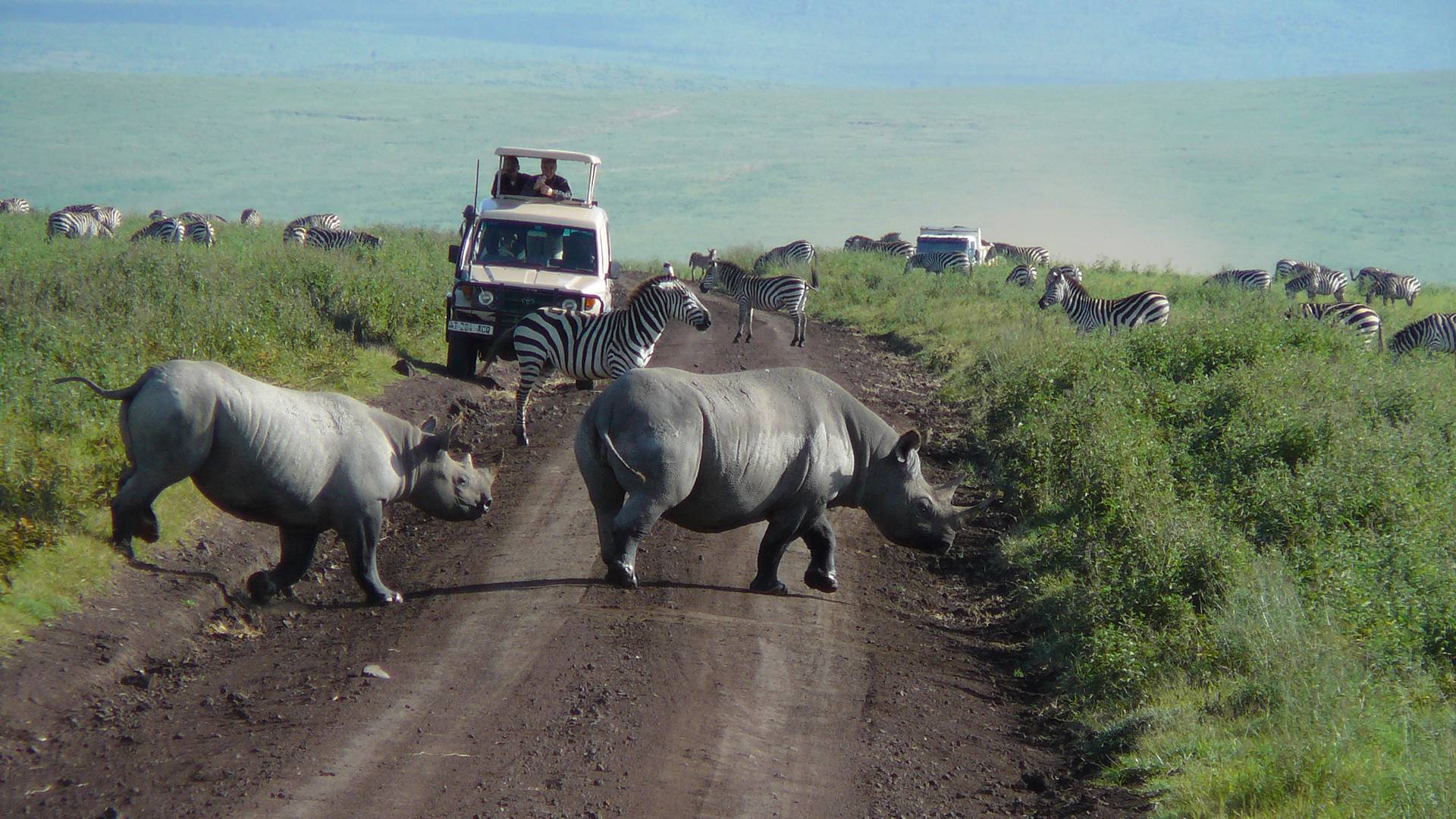 9 Days Tanzania Safari and Zanzibar Beach | Serengeti, Ngorongoro & Island Escape