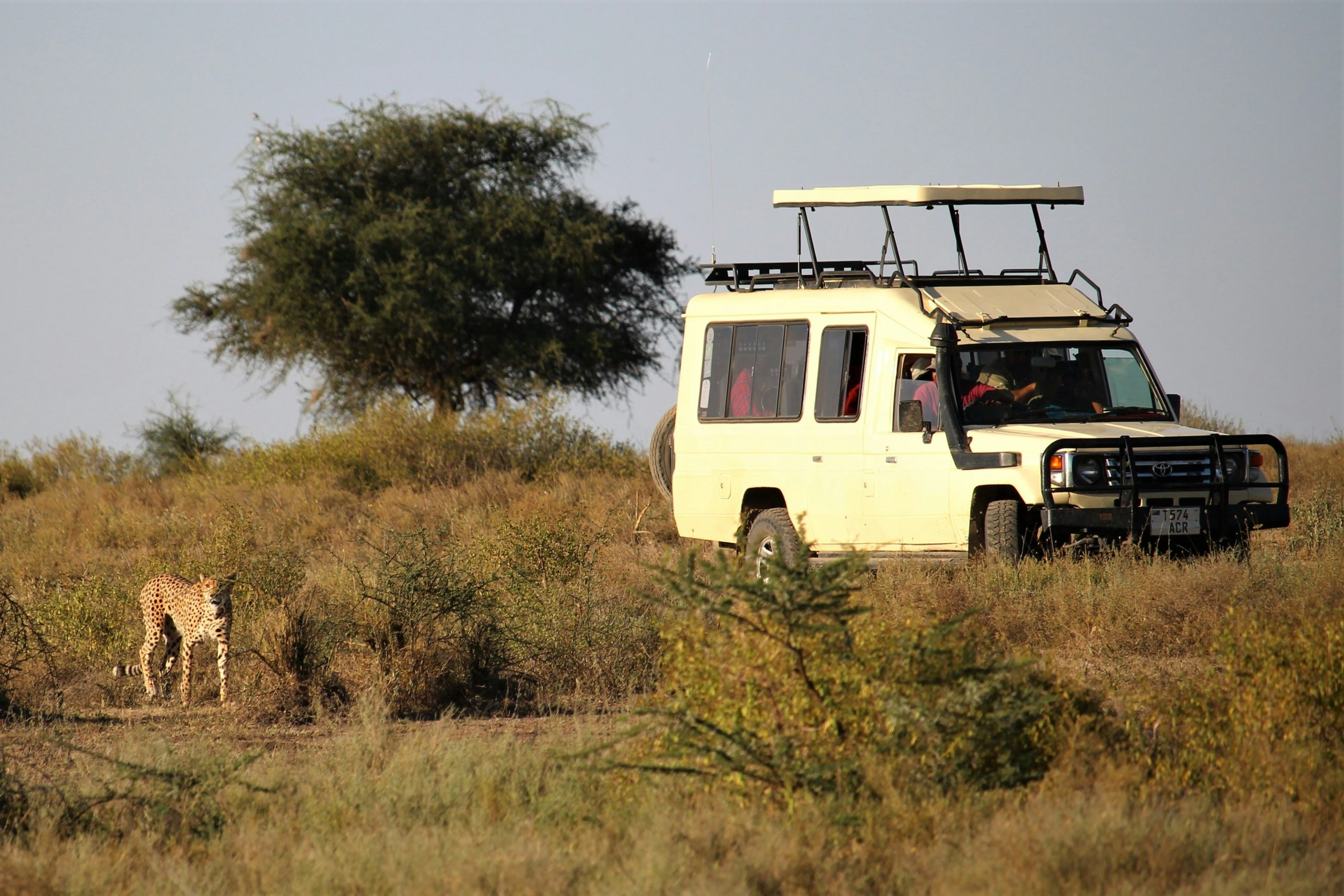 8 Days Tanzania Budget Private Safari & Maasai Cultural Experience