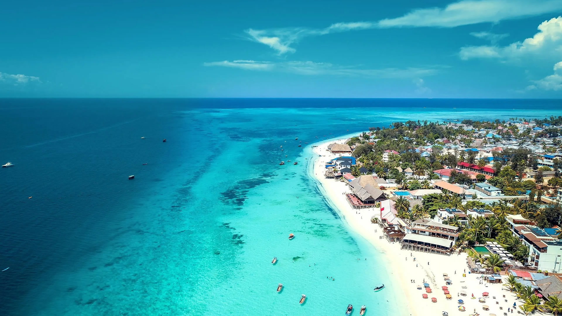 8 Days Tanzania Family Safari & Zanzibar Beach Holiday | Serengeti, Ngorongoro & Island Escape