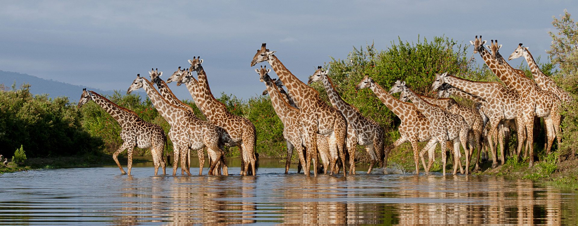 Nyerere National Park Family Safari | Game Drives, Boat & Walking Adventures