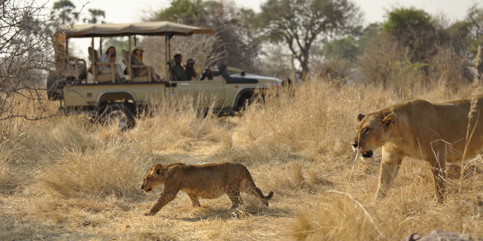 Day 3: Farewell to Ruaha & Return to Zanzibar
