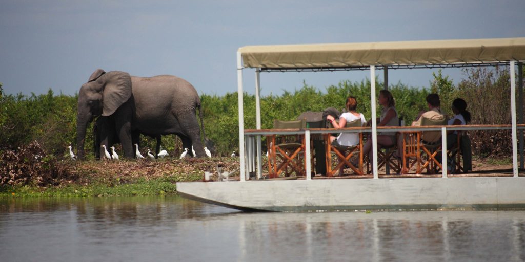 A group of tourists on a covered safari boat observing a large African elephant and its calf on the riverbank, accompanied by several white cattle egrets.