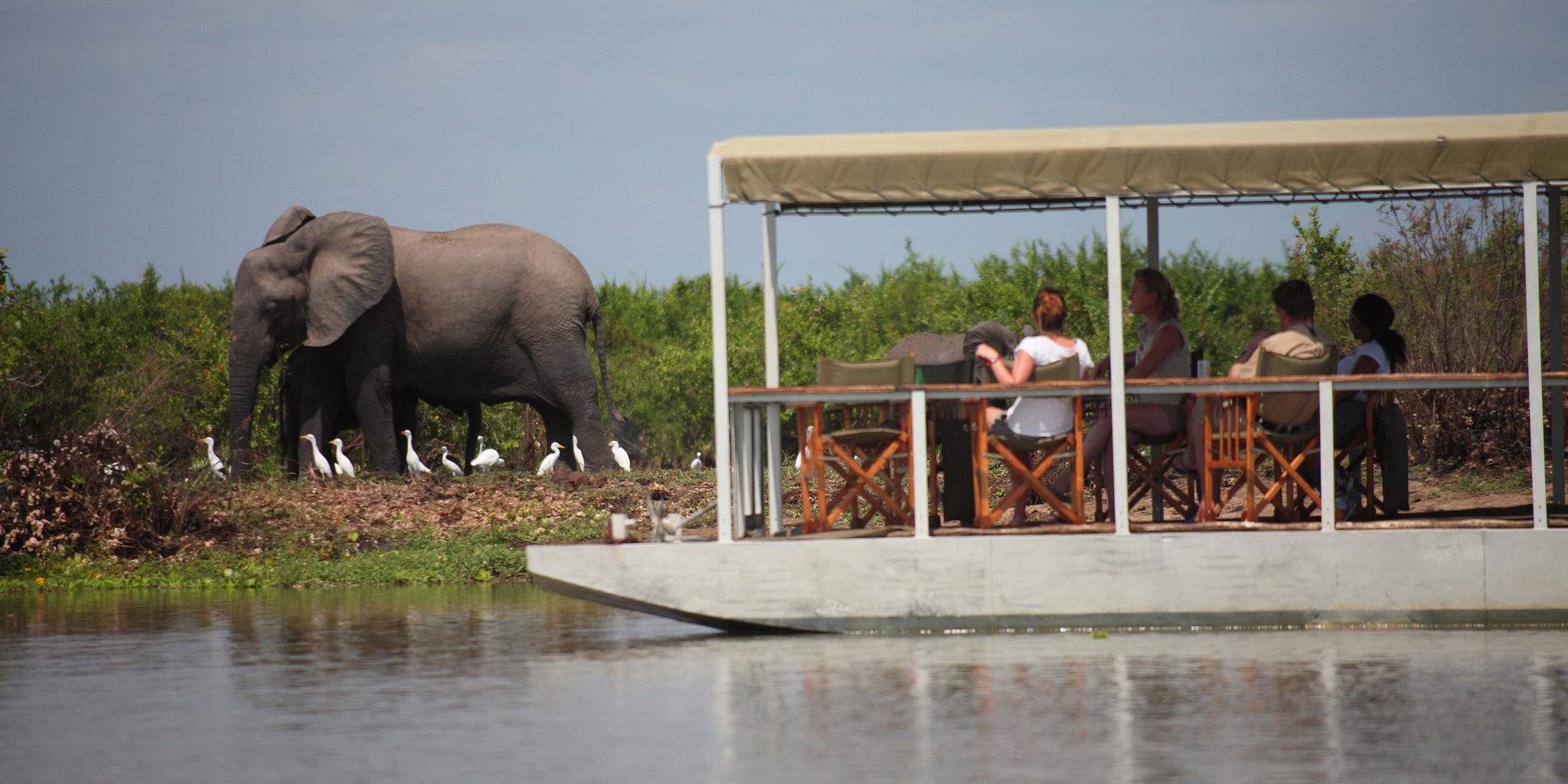 4-Day Saadani & Nyerere Safari | The Ultimate Beach to Bush Adventure